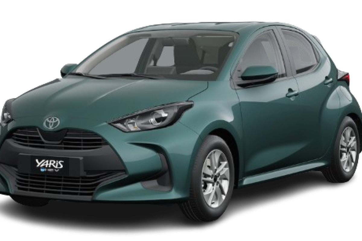 VERDE EVERESTR XL