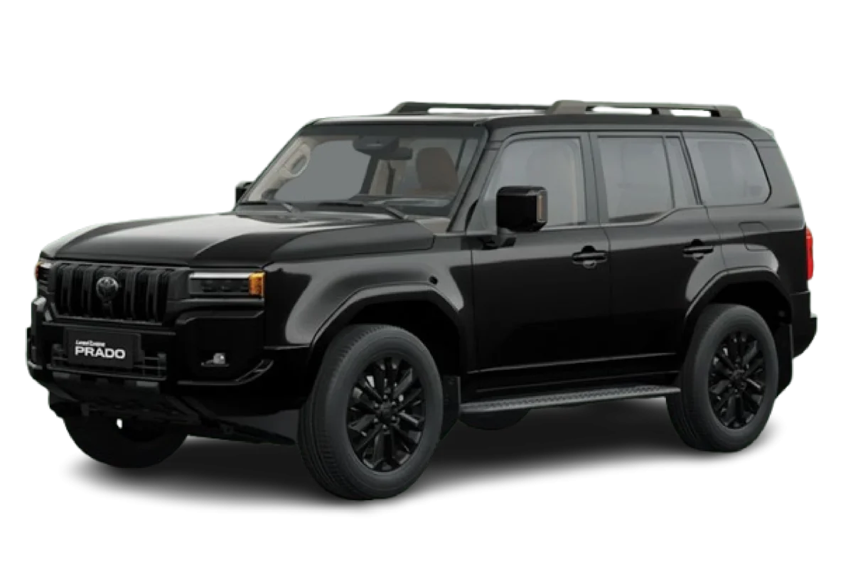 VX 2 (1)